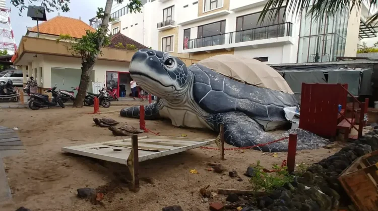 BSTS Ajak Masyarakat dan Wisatawan Terlibat Jaga Penyu dan Habitat Pantai