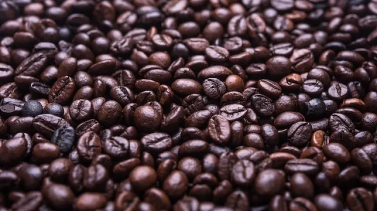 Hari Kopi Nasional Perkuat Identitas Nusantara