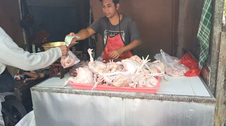 Pedagang Ayam Potong di Kuta Keluhkan Penurunan Penjualan