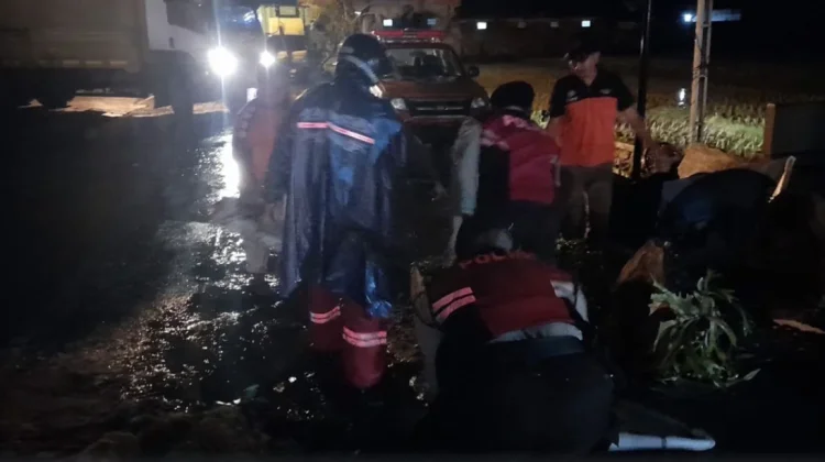 Respon Cepat Polsek Mengwi Tangani Pohon Tumbang