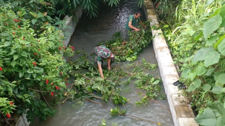 Respons Cepat Babinsa Batuaji Tangani Pohon Tumbang