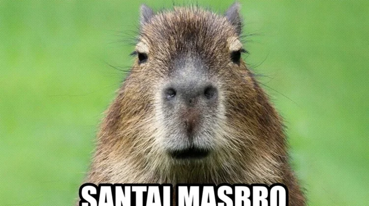 Mengapa Kita Membutuhkan Meme untuk Kesehatan Mental di Era Modern?