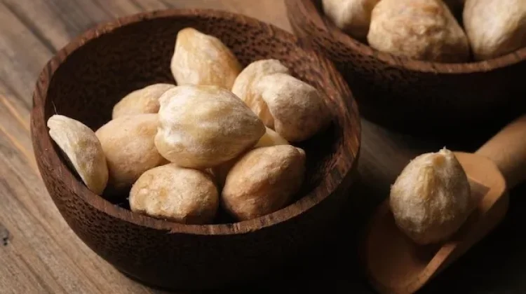 Ini Manfaat Kemiri Bakar untuk Rambut