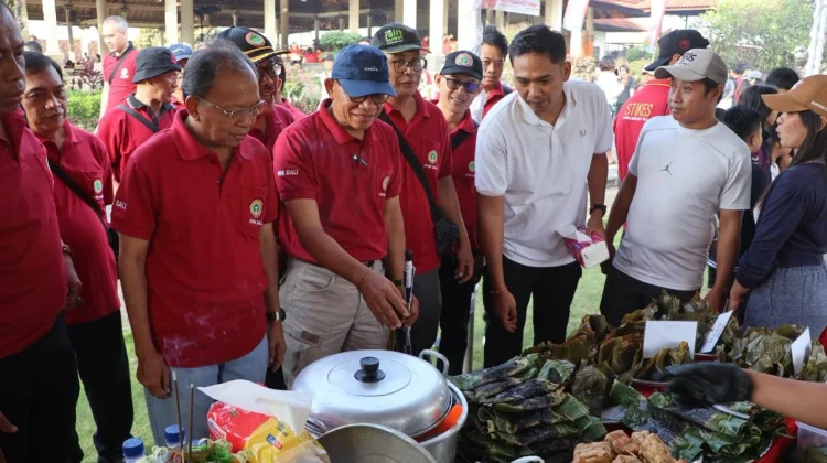 Gubernur Koster Harap Peran Aktif Perawat Membangun Kesehatan Masyarakat