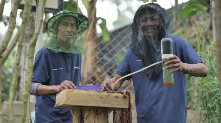 Hutan Lestari Pertamina Pulihkan Alam, Dongkrak Ekonomi Warga