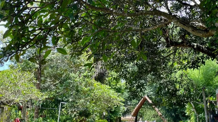 Komunitas Sungai Bali Dorong Kepedulian Lingkungan Berkelanjutan