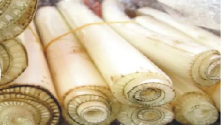 Tips Mengolah Sayur Ares agar Lemas dan Empuk