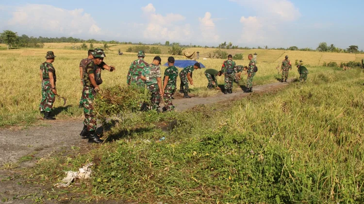 Kasdim Tabanan Pimpin Pembersihan Lahan Panen Raya