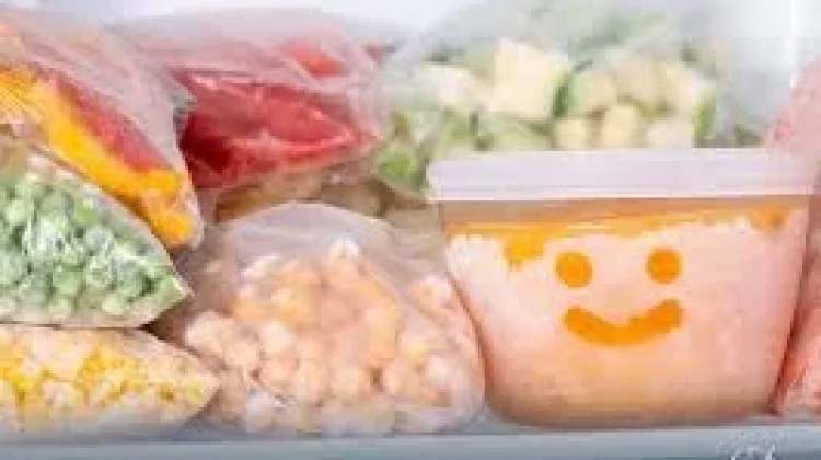 Teknik Membekukan Makanan Jaga Rasa dan Nutrisi