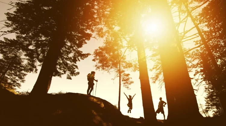 Healing ke Alam Lebih Efektif daripada Staycation Mewah, Ini Alasannya