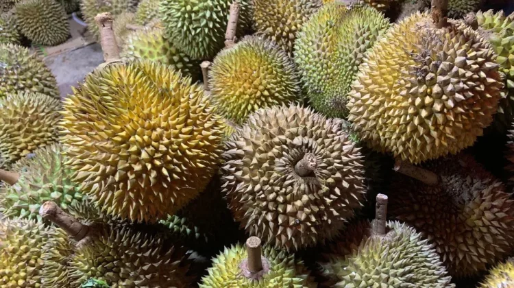 Durian, antara Manfaat dan Efek Samping Sang Raja Buah