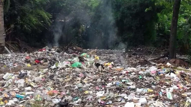 Pembakaran Sampah Picu Dampak Lingkungan