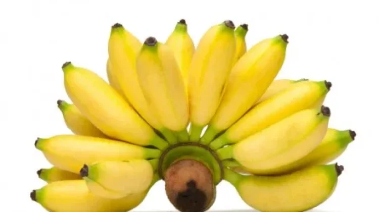 Pisang Mas Bali dengan Rasa Manis Legit