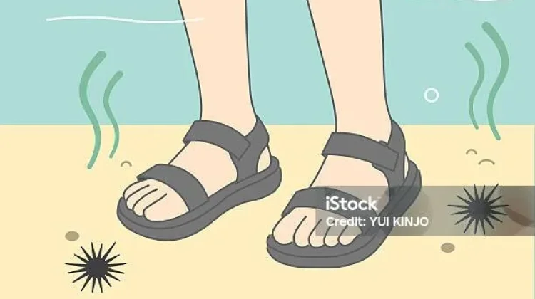 Perbedaan Sandal Bahan Plastik dan Karet, Mana Lebih Awet?