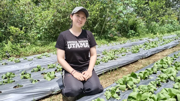 Kartini Muda Ini Pilih Sawah dan Kembangkan Usaha Lewat Aplikasi BRImo