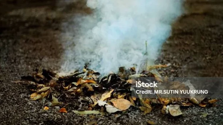 Asap Bakar Sampah jadi Risiko Serius bagi Nyawa