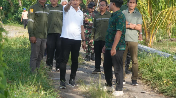 Bupati Kembang Tinjau Proyek Rabat Beton Jalan Banjar Loloan Medewi