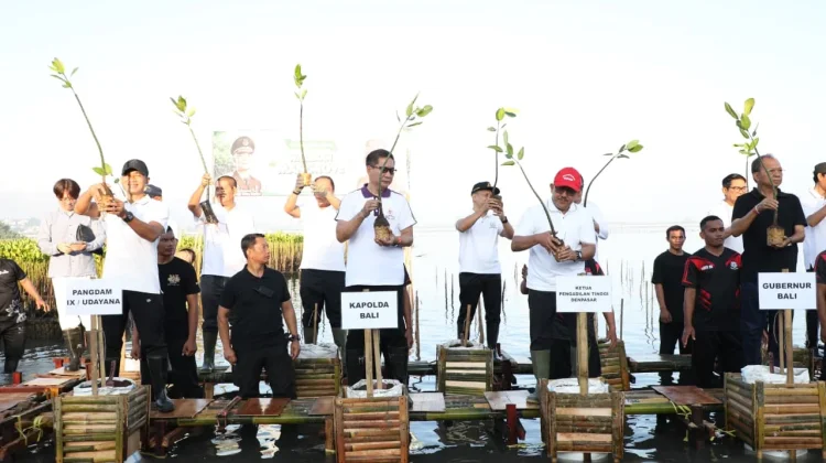 Kolaborasi Hijau Mangrove Bali Perkuat Komitmen Lingkungan Bersama