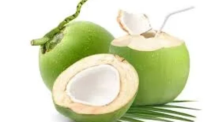 Mitos atau  Fakta? Air Kelapa Muda  untuk Detoks