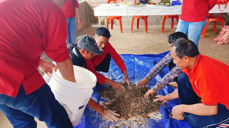 Strategi Zero Waste Mengubah Masalah Lingkungan jadi Pakan Ternak Bergizi