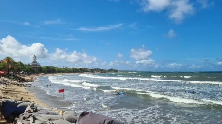 Berakhirnya Musim Angin Barat Tandai Munculnya Penyu di Pantai Kuta
