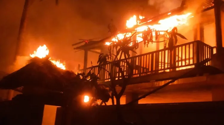 Musim Kemarau Tingkatkan Risiko Kebakaran di Bali