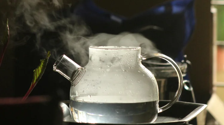 Minum Air Dingin atau Hangat? Cek Manfaatnya untuk Tubuh