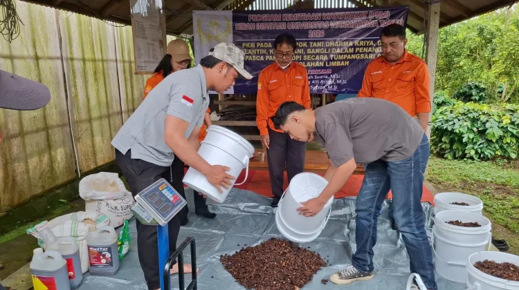 Harmoni Lahan Tumpangsari menuju Pertanian Modern Berkelanjutan
