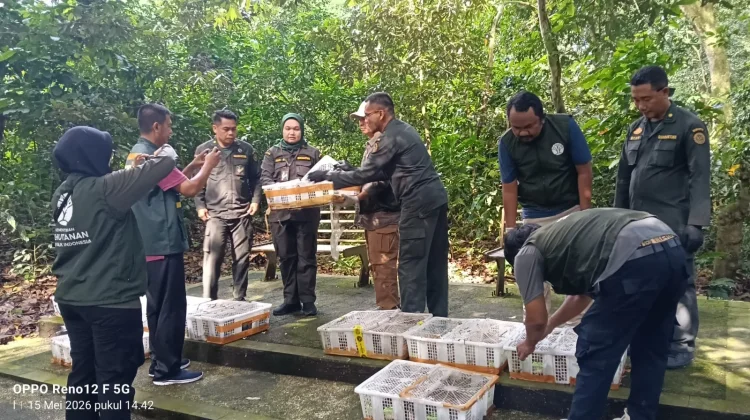 Tim Gabungan Gagalkan Pengiriman Ribuan Ekor Burung Tanpa Dokumen