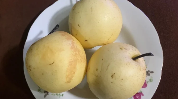 Mengungkap Manfaat Luar Biasa Buah Pir bagi Kesehatan