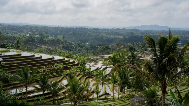 Rai Mantra : Konsep Tri Hita Karana Subak Adalah Sains Mitigasi Bukan Doktrin