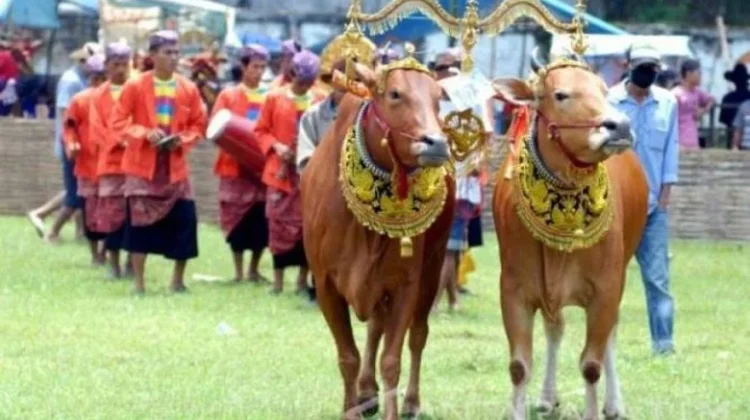 Ragam Tradisi Iduladha Unik di Berbagai Daerah Indonesia, Sarat Makna dan Budaya