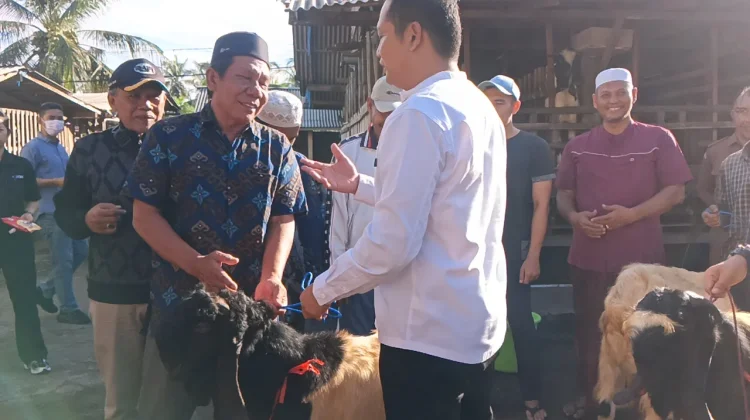 Kembang-Ipat Salurkan Hewan Kurban ke Semua Masjid Jembrana