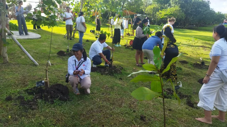 Nuanu Tanam Seribu Pohon Asli Bali di Tabanan