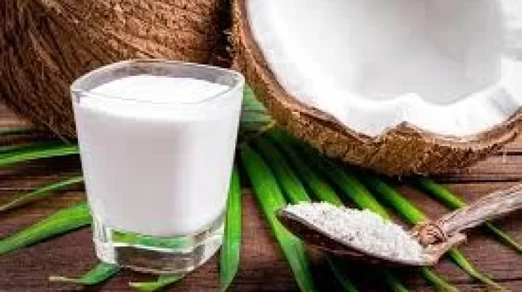 Terbukti Mengandung 0% Kolesterol, tapi Mengapa Dokter Batasi Kita Konsumsi Santan?