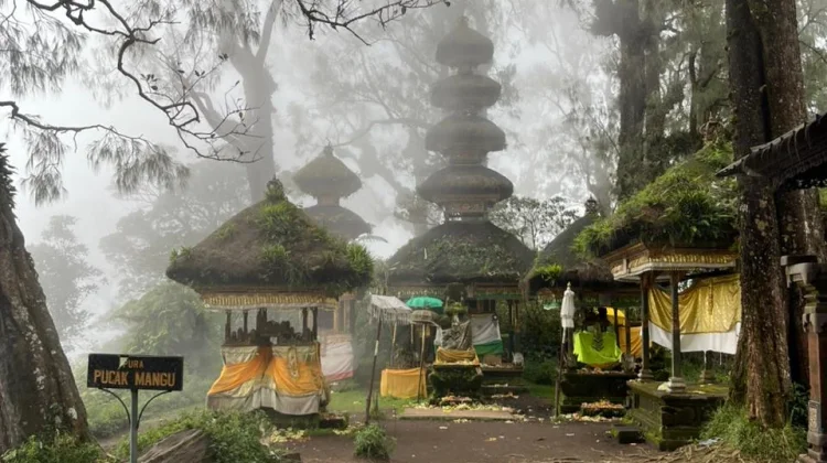 Persiapan Penting sebelum Hiking dan Mendaki Gunung
