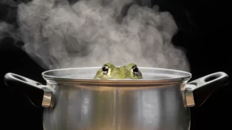 Boiling Frog Syndrome Gambarkan Kelelahan Mental yang Datang tanpa Disadari