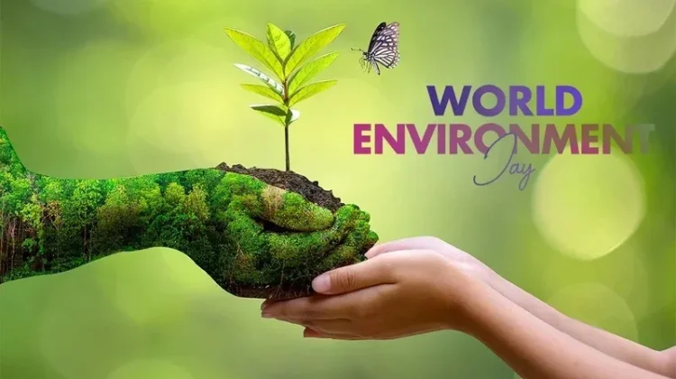World Environment Day 5 Juni, Bumi Hadapi Tantangan yang Kian Besar