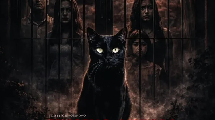 Film Kucing Hitam : Kucing Liar Masuk Rumah, Ketenangan Pun Sirna