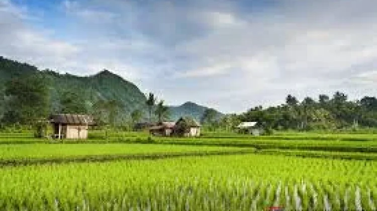 Pelestarian Subak, Proteksi Bantuan dan Lindungi Petani