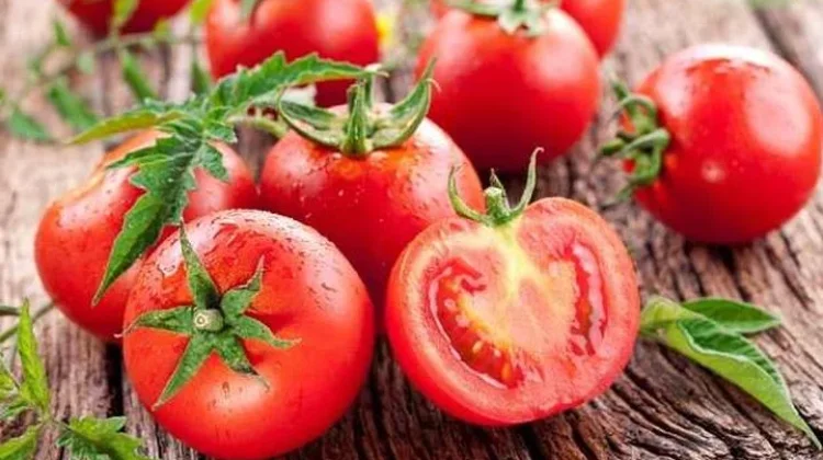Tomat Kaya Nutrisi Penunjang Kesehatan