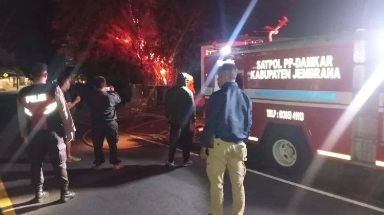 Api Dupa Diduga Picu Kebakaran Pohon Beringin Besar di Jembrana