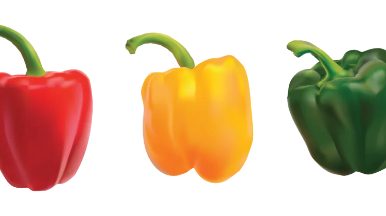 Mengenal Apa itu Paprika dan Manfaatnya