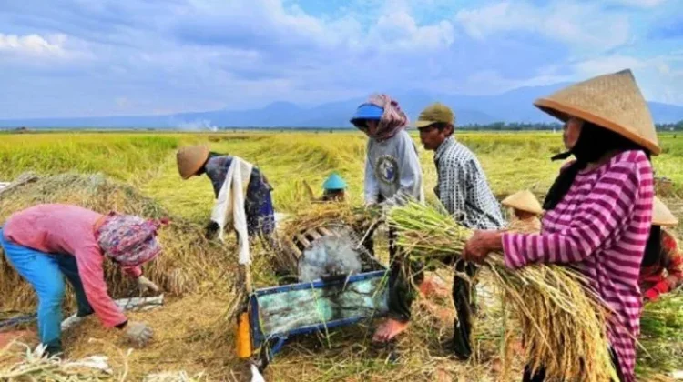 Hari Keamanan Pangan Sedunia: Pasokan Pangan Domestik Perlu Dijaga
