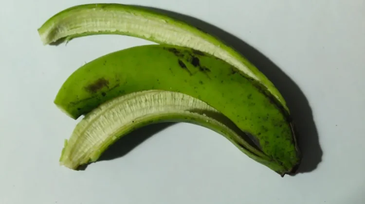 Pupuk Cair Organik Kulit Pisang untuk Menyuburkan Tanaman