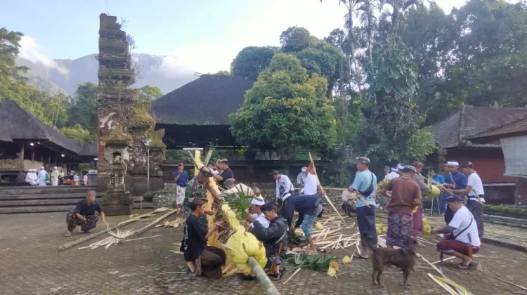 Babinsa Wongaya Gede Perkuat Gotong Royong Jelang Pujawali Pura Luhur Batukaru