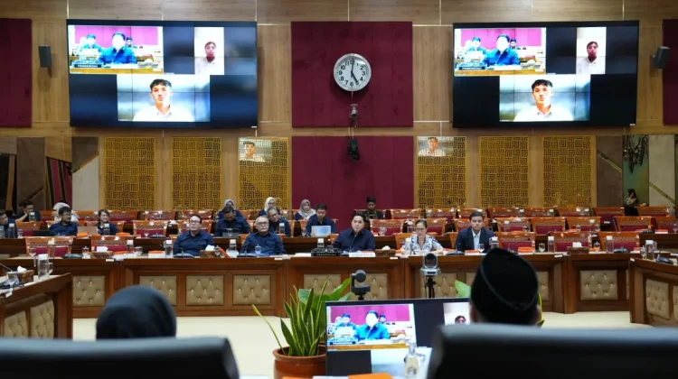 Komisi X DPR Setujui Rekomendasi Dua Calon Pemain Naturalisasi Timnas Indonesia