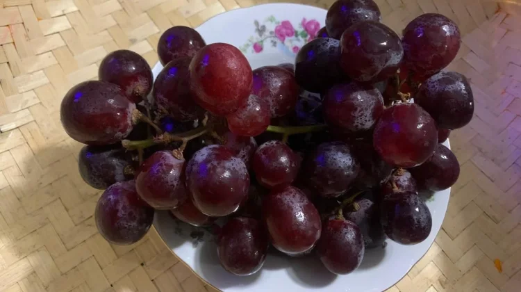 Mutiara Kecil Kaya Nutrisi, Mengungkap Manfaat Luar Biasa Buah Anggur bagi Tubuh