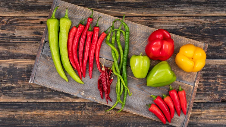 Mengenal Persamaan dan Perbedaan antara Cabai dan Paprika