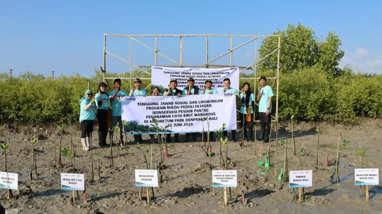 Bulog Tanam 1.050 Mangrove di Bali, Perkuat Perlindungan Ekosistem Pesisir